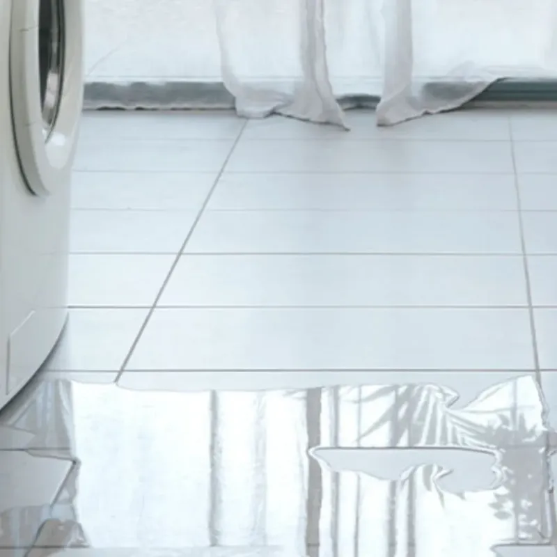Appliance Leak Cleanup in Dane, WI