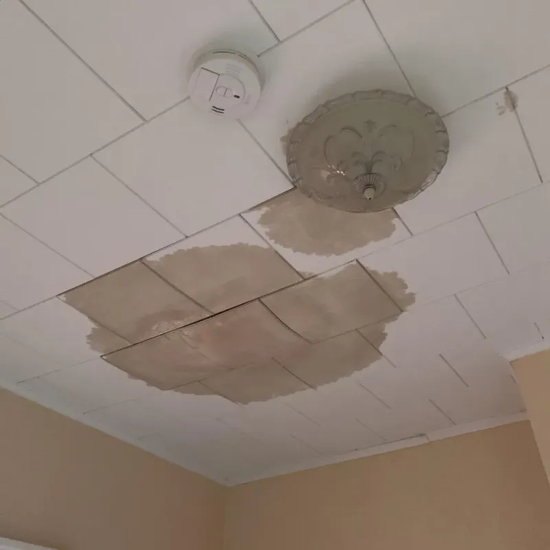 Ceiling Water Damage Repair in Dane, WI