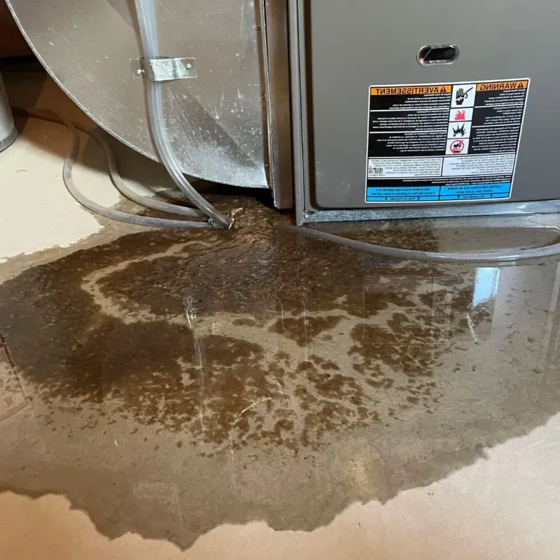 Pipe Burst and Leak Restoration in Dane, WI